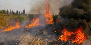 Φωτογραφία: Eurokinissi/Βασίλης Παπαδόπουλος
