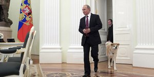 Φωτογραφία: AP/ Alexei Druzhinin