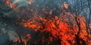 Φωτογραφία: Eurokinissi/Αντώνης Νικολόπουλος