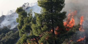 Πυρκαγιά/Φωτογραφία αρχείου: Eurokinissi