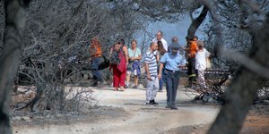Καταστροφές από τις πυρκαγιές/ Φωτογραφία intime news