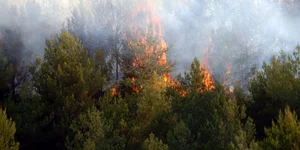 Σε επιφυλακή για πυρκαγιές την Παρασκευή – Ποιες περιοχές διατρέχουν πολύ υψηλό 