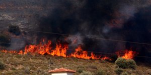 Φωτογραφία: Eurokinissi/Βασίλης Παπαδόπουλος