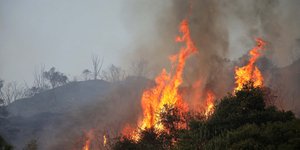 Πυρκαγιά/Φωτογραφία αρχείου: Eurokinissi