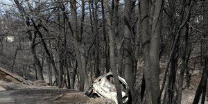 Λάρισα: Συγκέντρωση αγαθών πρώτης ανάγκης/ Φωτογραφία intime news