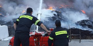Φθιώτιδα: Στο νοσοκομείο 37χρονος πυροσβέστης -Τον δάγκωσε σκύλος ενώ έσβηνε φωτιά/ Φωτογραφία: Eurokinissi
