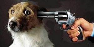 στάση λεωφορείου