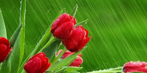 Αστατος ο καιρός και την Τρίτη με βροχές και καταιγίδες στις περισσότερες περιοχ