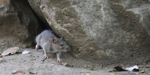 Φωτογραφία: AP