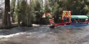 Φωτογραφίες: Alyne Tamir