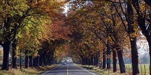 Η «έξυπνη» εφαρμογή που ομορφαίνει τις διαδρομές σας [εικόνα]