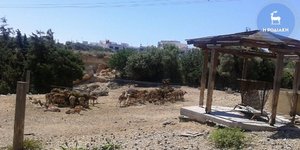 ΦΩΤΟΓΡΑΦΙΑ: rodiaki.gr
