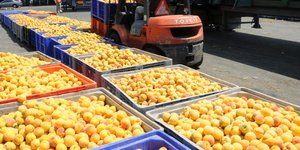 Η ΕΕ θα ανακοινώσει μέτρα για τη σταθεροποίηση της αγοράς μετά το εμπάργκο