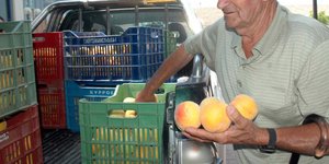 Διευκρινήσεις από το Αγροτικής Ανάπτυξης για τα ροδάκινα -Εχουν ήδη ανακοινωθεί