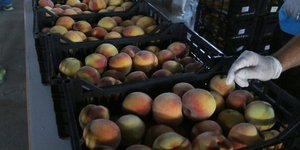 Φωτογραφία αρχείου: Eurokinissi