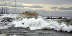 Φωτογραφία: Ροδιακή