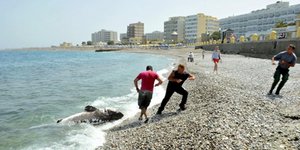 Μικρός καρχαρίας ξεβράστηκε νεκρός σε ακτή της Ρόδου