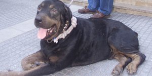 Φωτογραφία Αρχείου: Eurokinissi