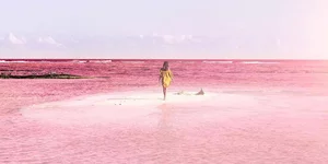 Φωτογραφία: Instagram @marisahampe