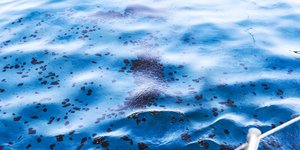 Φωτογραφία Aρχείου: SOOC