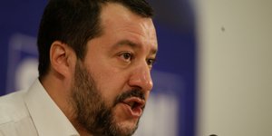 Ματέο Σαλβίνι
