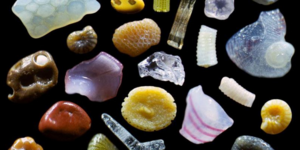 Η άμμος της παραλίας είναι πολύχρωμη: Μακροφωτογραφίες που ανατρέπουν τα δεδομέν