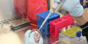 Εφαρμόζει μια πολυδιάστατη ανάλυση