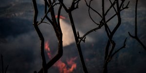 ΦΩΤΟΓΡΑΦΙΑ: EUROKINISSI /ΑΝΤΩΝΗΣ ΝΙΚΟΛΟΠΟΥΛΟΣ