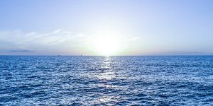 Φωτογραφία Pexels