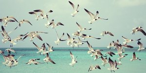 φωτογραφία: pixabay.com