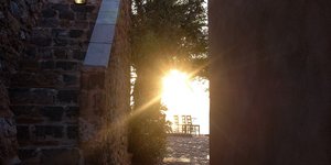 ΦΩΤΟΓΡΑΦΙΑ: Nick Paleologos / SOOC