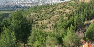 Φωτογραφία: EUROKINISSI/ΑΡΚΤΟΥΡΟΣ