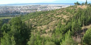 Φωτογραφία: EUROKINISSI/ΑΡΚΤΟΥΡΟΣ