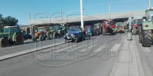ΦΩΤΟΓΡΑΦΙΑ: seleo.gr