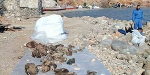 Στη Σαλαμίνα συνεχίζονται οι εργασίες καθαρισμού