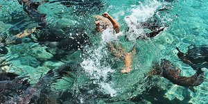 Φωτογραφία: Instagram/Katarina Zarutskie 