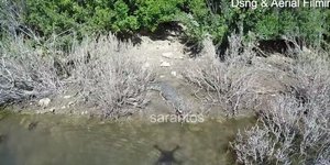 Ο Σήφης ο κροκόδειλος τους «δουλεύει» όλους: Νέο βίντεο τον δείχνει να λιάζεται 