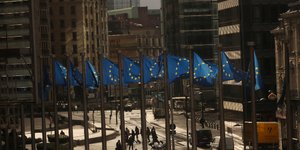 Σημαίες Ευρωπαϊκής Ένωσης/Φωτογραφία: AP