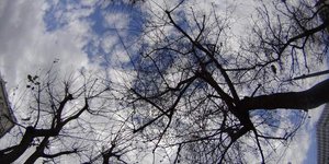 Φωτογραφία: Sooc