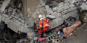 Ελληνας φυσιοδίφης προβλέπει σεισμούς παρακολουθώντας τα ζώα και θανάτους δισεκα