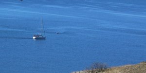 ΦΩΤΟΓΡΑΦΙΑ: EUROKINISSI-ΠΑΠΑΔΟΠΟΥΛΟΣ ΒΑΣΙΛΗΣ
