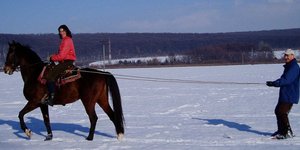 Τα τελευταία χρόνια ανεβαίνει το skijorning -Φωτογραφία: Wikipedia