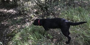 Φωτογραφία: Nikos Libertas / SOOC