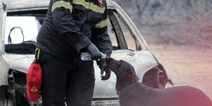 Φωτογραφία: INTIME NEWS- ΝΤΟΥΝΤΟΥΜΗΣ ΧΡΗΣΤΟΣ