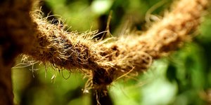 Φωτογραφία: pixabay