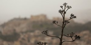 Φωτογραφία: IntimeNews