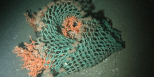 Τα σκουπίδια «εξερευνούν» τους ωκεανούς πριν από μας: Τι ανακάλυψαν οι ερευνητές