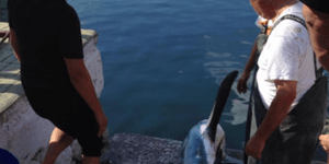 Επιασαν σκυλόψαρο 3