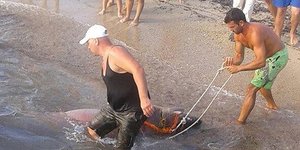 Επιασαν σκυλόψαρο 200 κιλών στη Χαλκιδική -Το μήκος του έφτανε στα 3 μέτρα [εικό