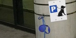 σκύλος